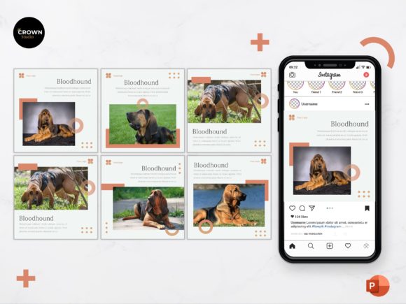 Download Instagram Feed Template -  Bloodhound - Feed Collection